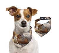 Bandanas d'été pour chiens en forme d'écureuil qui vient de s'allonger - Lavables et réglables - Bavoirs triangulaires mignons pour chiens de taille moyenne et grande - Chiots et chats - Taille S