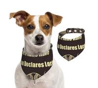 Bandanas d'été pour chiens « I Know The Plans Have You Declares Lord Dog » - Bandanas lavables et réglables - Bavoirs triangulaires mignons pour chiens de taille moyenne et grande - Chiots et chats de