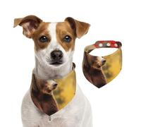 Bandanas d'été pour chiens, ours marron en automne, bandanas lavables et réglables en triangle pour chiens de taille moyenne et grande taille, chiots et chats, taille M