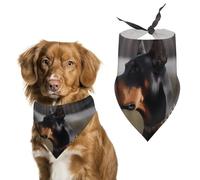 Bandanas Doberman pour chien - Bavoir réglable - Décorations pour animaux de compagnie - Foulards triangulaires pour chiens de petite et moyenne taille - Accessoire de costume pour chiot et chat