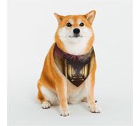 Bandanas élégants pour chien - Motifs pour la Saint-Valentin, les anniversaires et plus encore - Polyester doux - Villes persanes anciennes - Taille S