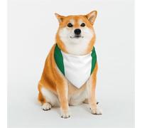Bandanas élégants pour chien - Motifs pour la Saint-Valentin, les anniversaires et plus encore - Polyester doux - Drapeau du Nigeria - Taille L