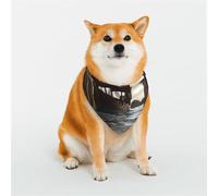 Bandanas élégants pour chien - Motifs pour la Saint-Valentin, les anniversaires et plus encore - Vêtements en polyester doux pour animaux de compagnie - Gros plan de Magic Watergate - Taille M