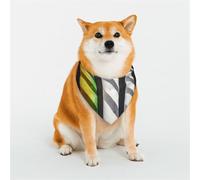 Bandanas élégants pour chien - Motifs pour la Saint-Valentin, les anniversaires et plus encore - Vêtements en polyester doux pour animaux domestiques - Illumination caustique arc-en-ciel Taille L