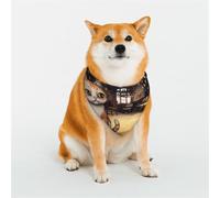 Bandanas élégants pour chien - Motifs pour la Saint-Valentin, les anniversaires et plus encore - Vêtements pour animaux de compagnie en polyester doux - Un joli chat tigré steampunk - Taille L