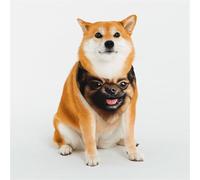 Bandanas élégants pour chien - Motifs pour la Saint-Valentin, les anniversaires et plus encore - Vêtements en polyester doux pour animaux de compagnie Un chien mignon peinture petit