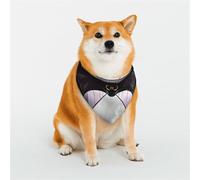 Bandanas élégants pour chien - Motifs pour la Saint-Valentin, les anniversaires et plus encore - Vêtements pour animaux de compagnie en polyester doux, chauve-souris, gros plan