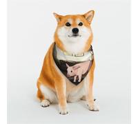 Bandanas élégants pour chien - Motifs pour la Saint-Valentin, les anniversaires et plus encore - Vêtements pour animaux de compagnie en polyester doux Le joli petit cochon dans l'appartement Taille L