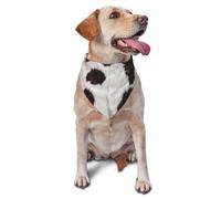 Bandanas en Peau de Vache, Motif Abstrait, Motif Animal Africain, Noir, pour Chien, Chat, Chiot, écharpe, Mouchoir Lavable pour Animaux de Compagnie