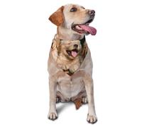 Bandanas imprimés pour Chiens Golden Retriever, Chiots, Animaux de Compagnie, Foulards pour Chiens, Chats, Chiots, mouchoirs lavables pour Animaux de Compagnie