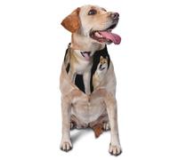 Bandanas lavables pour Chiens, Chats et Chiots, pour Shiba Inu et Akita Inu