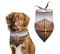 Bandanas personnalisés lavables pour chiens et chats Motif musée du Louvre à Paris