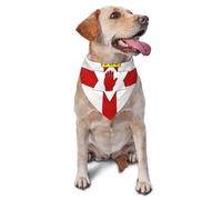 Bandanas pour animal de compagnie imprimé drapeau de l'Irlande du Nord - Bandanas mignons pour chien et chat pour les vacances, Noël, Halloween - Bavoirs triangulaires réglables pour la promenade en