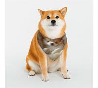 Bandanas pour chien à fourrure pour chiens de petite, moyenne et grande taille - Doux et confortable pour les garçons et les filles, idéal pour les animaux de compagnie