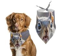 Bandanas pour chien avec imprimé écureuil mignon amusant - Bavoirs pour chien lavables en polyester - Bandana triangulaire pour chiens de petite, moyenne et grande taille