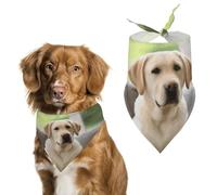 Bandanas pour chien avec joli labrador imprimé chien bavoirs pour chien lavable polyester mouchoir écharpe triangle bandana pour chiens de petite, moyenne et grande taille