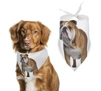 Bandanas pour chien bouledogue anglais - Écharpe mignonne pour chiens et chats - Bavoirs triangulaires doux et respirants pour animaux de compagnie - Accessoire de mode pour chiots de petite, moyenne