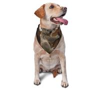Bandanas pour Chien, Chat, Chiot, Adorable Koala sur Un Arbre, Foulards, mouchoirs lavables pour Animaux de Compagnie