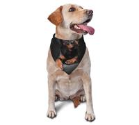 Bandanas pour Chien, Chat, Chiot, écharpe, Mouchoir Lavable pour Animal de Compagnie, Aimant Le Rottweiler, confiant et fidèle