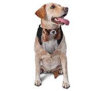 Bandanas pour Chien, Chat, Chiot, écharpe, Mouchoir Lavable pour Animal de Compagnie, Motif Cavalier King Charles Spaniel avec Ses Petits