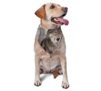 Bandanas pour Chien, Chat, Chiot, écharpes, Mouchoir Lavable pour Animaux de Compagnie, imprimé Loup Sauvage
