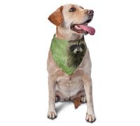 Bandanas pour Chien, Chat, Chiot, écharpes, Mouchoir Lavable pour Animaux de Compagnie, imprimés à la Mode, Motif Raton Laveur Mignon