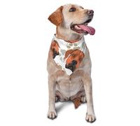 Bandanas pour Chien, Chat, Chiot, Foulards, mouchoirs lavables pour Animaux de Compagnie, Motif Rhodesian Ridgeback avec Amour