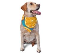 Bandanas pour Chien, Chat, Chiot, imprimé Fruits Orange Frais, Foulards, mouchoirs lavables pour Animaux de Compagnie