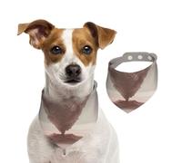 Bandanas pour chien en forme de cœur blanc - Écharpe lavable pour petits et grands animaux de compagnie pour fille ou garçon, accessoires pour animaux de compagnie