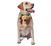 Bandanas pour Chien Golden Retriever avec Visage Souriant, Foulards pour Chat et Chiot, Mouchoir Lavable pour Animaux de Compagnie
