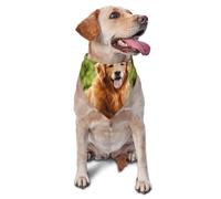 Bandanas pour Chien Golden Retriever, écharpes pour Chat et Chiot, Mouchoir Lavable pour Animaux de Compagnie