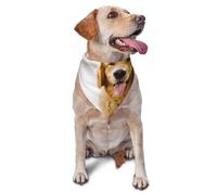Bandanas pour Chien Golden Retriever Souriant, écharpes pour Chat et Chiot, Mouchoir Lavable pour Animaux de Compagnie