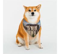 Bandanas pour chien Monuments historiques d'Arménie - Grande écharpe réglable triangulaire - Double écharpe réversible lavable - Mouchoir quotidien pour chien de taille moyenne et grande - Cadeau