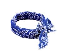 Bandanas pour chien | Serviette rafraîchissante instantanée absorbante | Collier bandana d'été pour chat | Pour chiot, chat, petite et grande race, extérieur, maison, voyage, randonnée, camping
