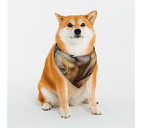 Bandanas pour chien The Secret Of Rhinoceros pour chiens de petite, moyenne et grande taille - Doux et confortable pour les garçons et les filles, idéal pour les animaux de compagnie