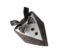 Bandanas pour Chiens - Bandana Triangle pour Costume De Chien | Accessoire Décoratif De Foulard pour Petits Animaux - pour Halloween Anniversaire Garçon Noël Automne Fête Mariage