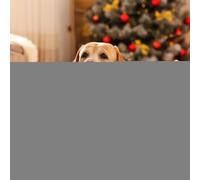 Bandanas pour chiens de Noël, bavoirs pour chiens pour les vacances - Bandanas de Noël doux pour chien Bavoirs réglables pour chien - Accessoires réversibles pour animaux de compagnie, écharpe mignonn