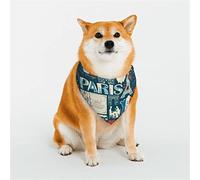 Bandanas pour Chiens France et Paris, écharpe Triangulaire réversible pour Animaux de Compagnie pour garçon et Fille, Bandana pour Petits, Moyens, Grands et très Grands Chiens