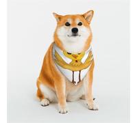 Bandanas pour Chiens - Parfaits pour Les vêtements de Votre Chien, Les Anniversaires, la Saint-Valentin et Bien Plus Encore ! Lumière céleste