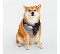 Bandanas pour Chiens - Parfaits pour Les vêtements de Votre Chien, Les Anniversaires, la Saint-Valentin et Bien Plus Encore. Belles décorations d'église.
