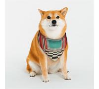 Bandanas pour Chiens - Parfaits pour Les vêtements de Votre Chien, Les Anniversaires, la Saint-Valentin et Plus Encore - Décoration Florale Morte