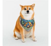 Bandanas pour Chiens - Parfaits pour Les vêtements de Votre Chien, Un Anniversaire, la Saint-Valentin et Bien Plus Encore - Motif Floral en Forme de cœur