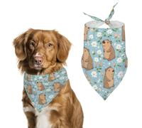 Bandanas triangulaires Fleuris à Motif Capybara pour Animaux de Compagnie, Foulard Doux, Accessoires pour Animaux de Compagnie pour Les fêtes, Les Photos et Les Voyages