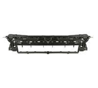 Bande Cache Compatible Avec PEUGEOT 208 01.19- BLIC 6502-03-5518209P