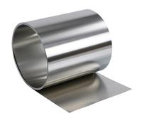 Bande d'acier inoxydable 304 de 1 mètre, épaisseur 0,02 mm, bobine d'acier de 0,05/0,1/0,2/0,3/0,4/0,5 mm, largeur 50 mm, 1 pièce(Thick 0.2mm)