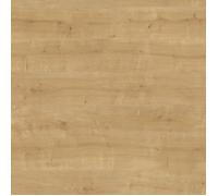 Bande de chant ABS H3303 ST10 Chêne Hamilton Naturel - Ep.0,8 mm / l.23 mm / L.75 m - Non encollée