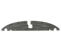 Bande De Couverture Pour CHRYSLER PACIFICA 01.16-02.20 BLIC 6508-05-0941279P
