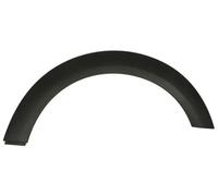 Bande de protection d'aile arrière droite noir 5703-04-4001596P BLIC pour MINI