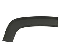 Aile - moulure / protection BLIC 5703-08-3216374P