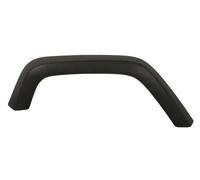 Aile - moulure / protection BLIC 5703-08-3255376P
